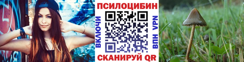 Псилоцибиновые грибы Psilocybe Норильск