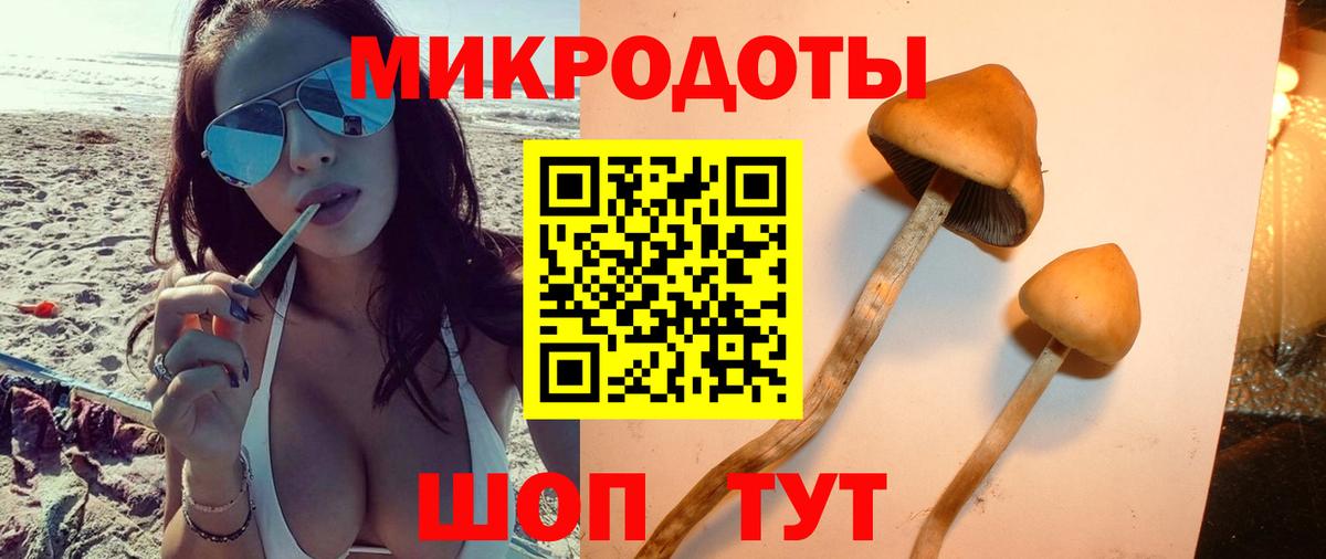 Норильск  Галлюциногенные грибы Psilocybe  Вход с VPN 