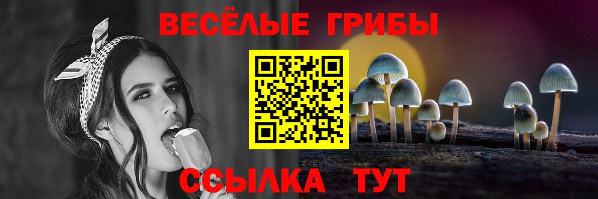 Псилоцибиновые грибы прущие грибы Норильск